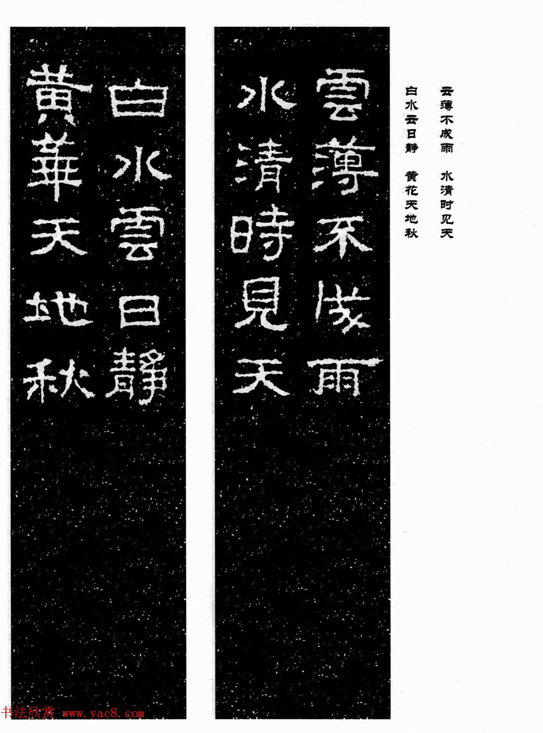 鼯ּ͡
