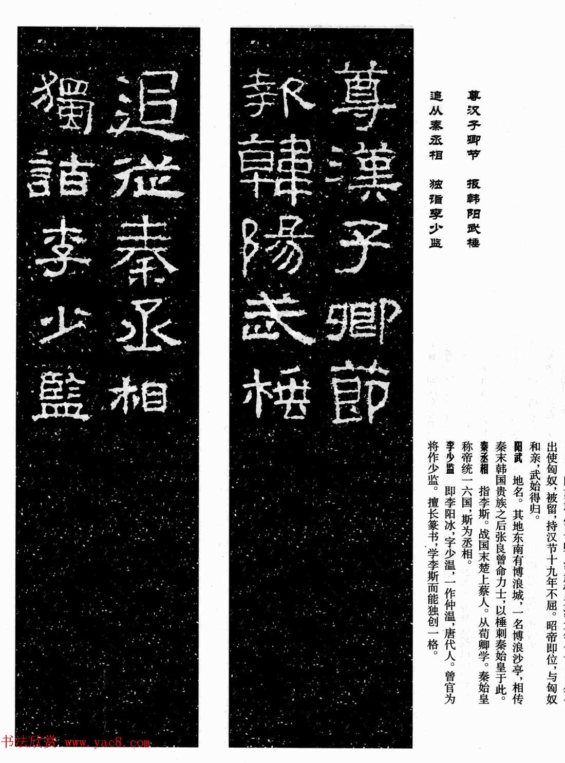 鼯ּ͡