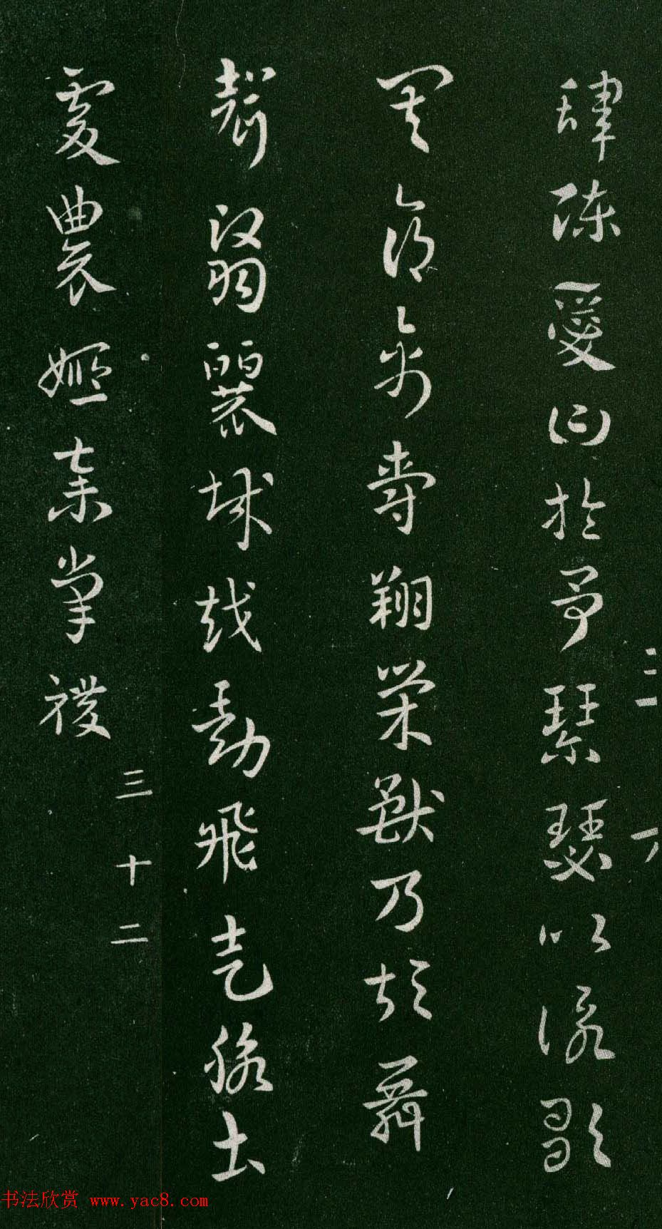 ²鷨