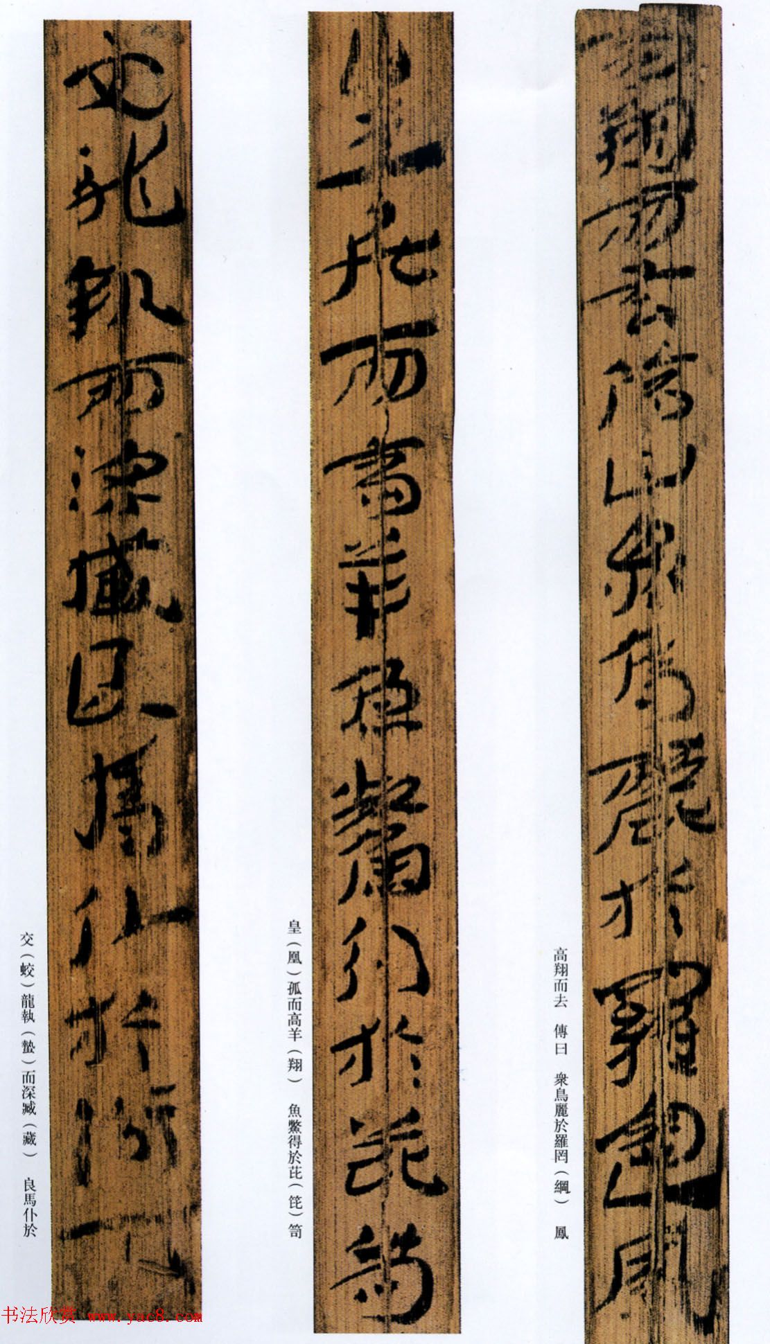 鷨ڸ屾