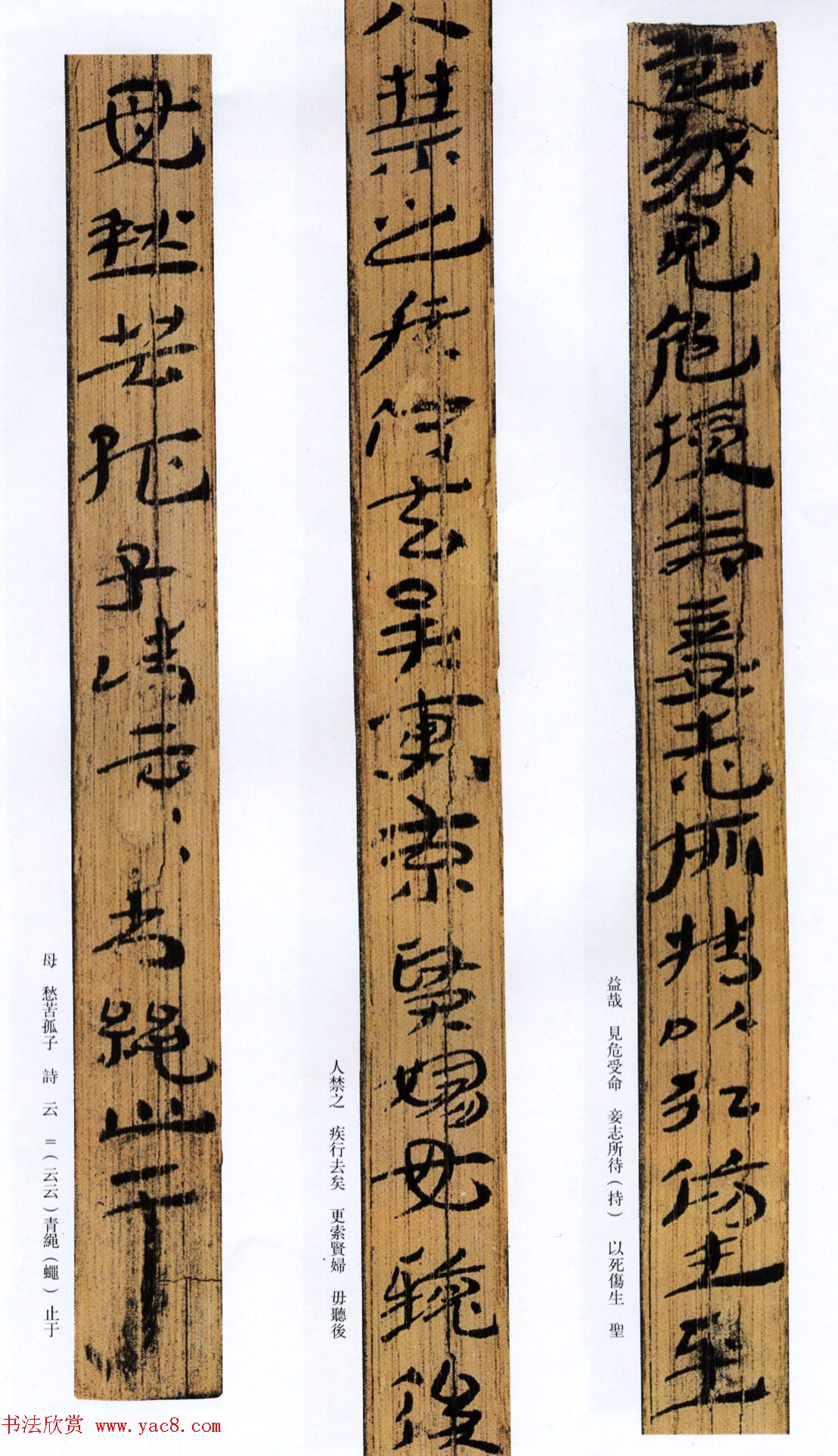 西汉草隶书法竹简神乌傅高清本5