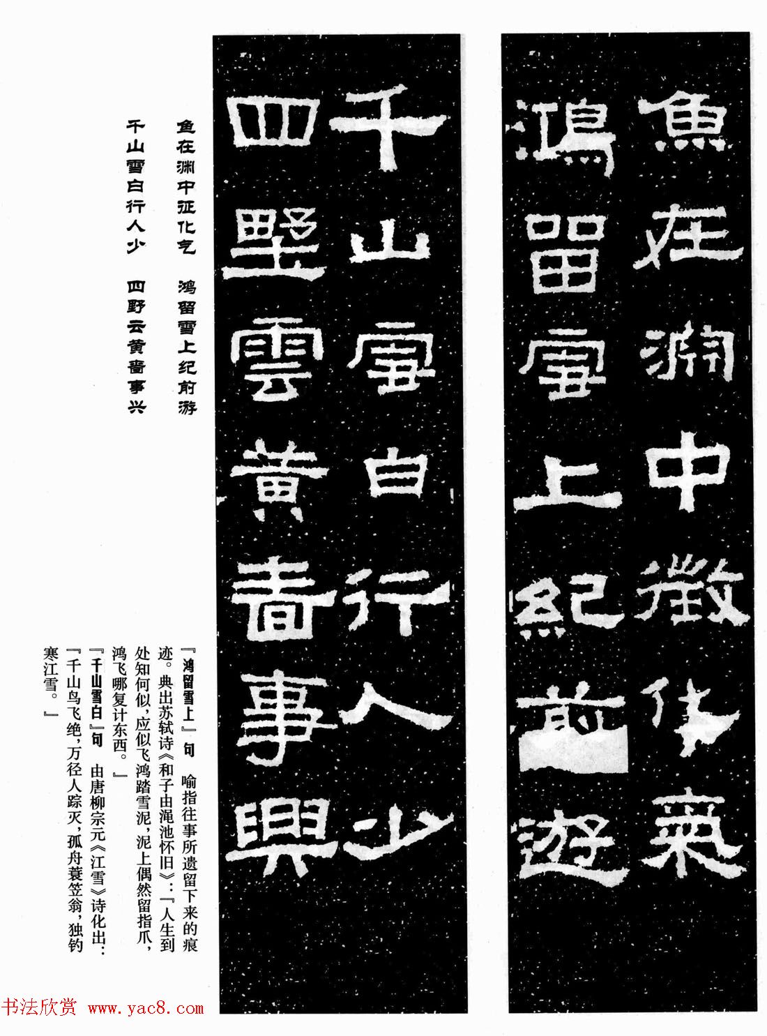鼯͡Ǩ