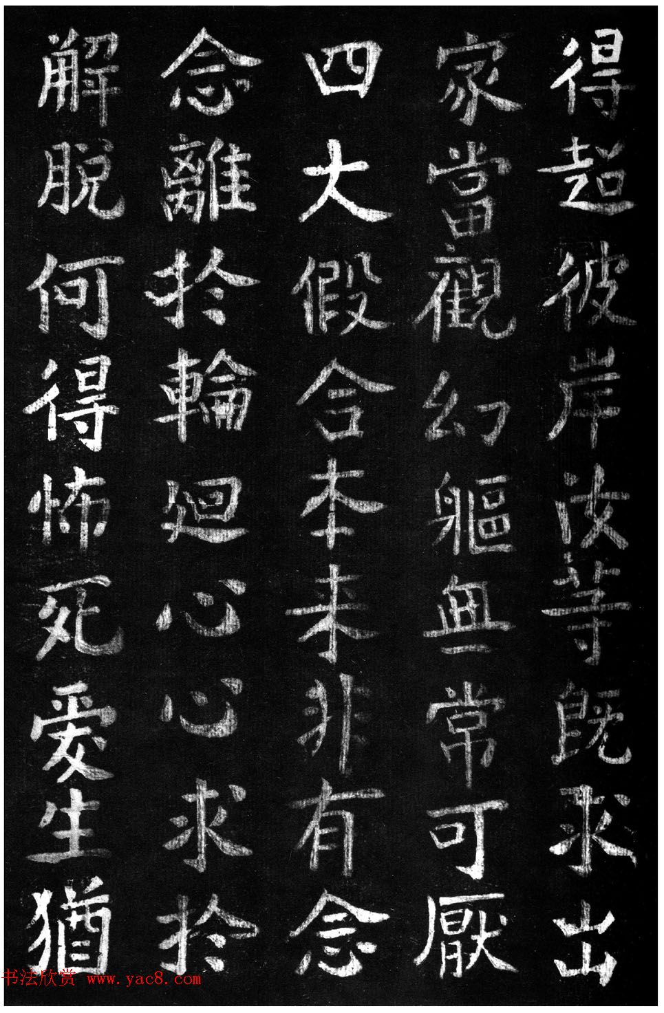 ̾顶ɽر