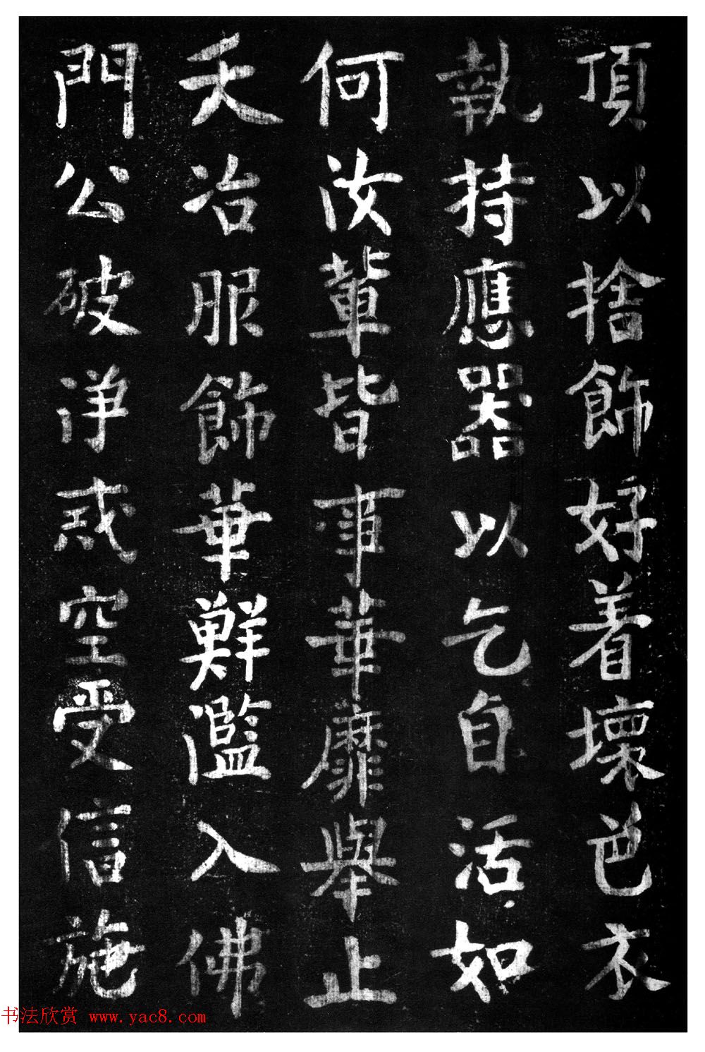 ̾顶ɽر
