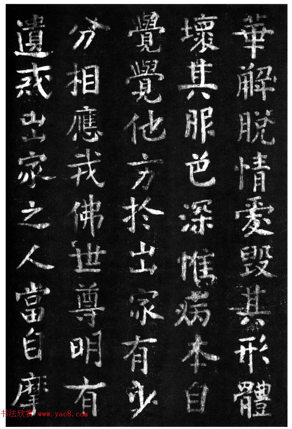 ̾顶ɽر