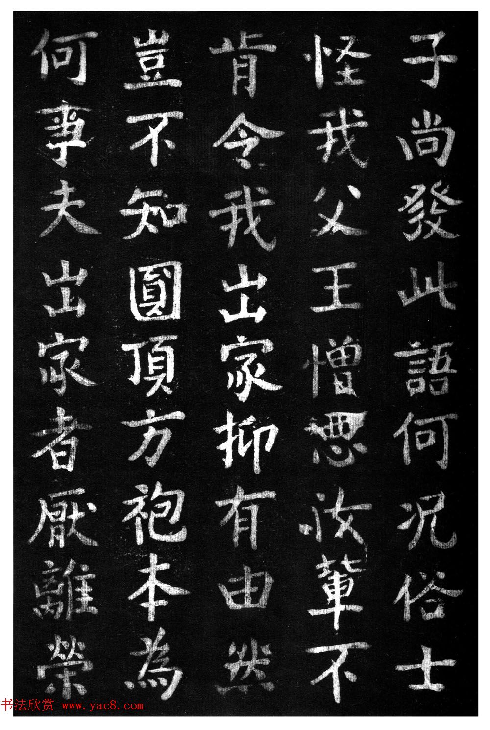 ̾顶ɽر