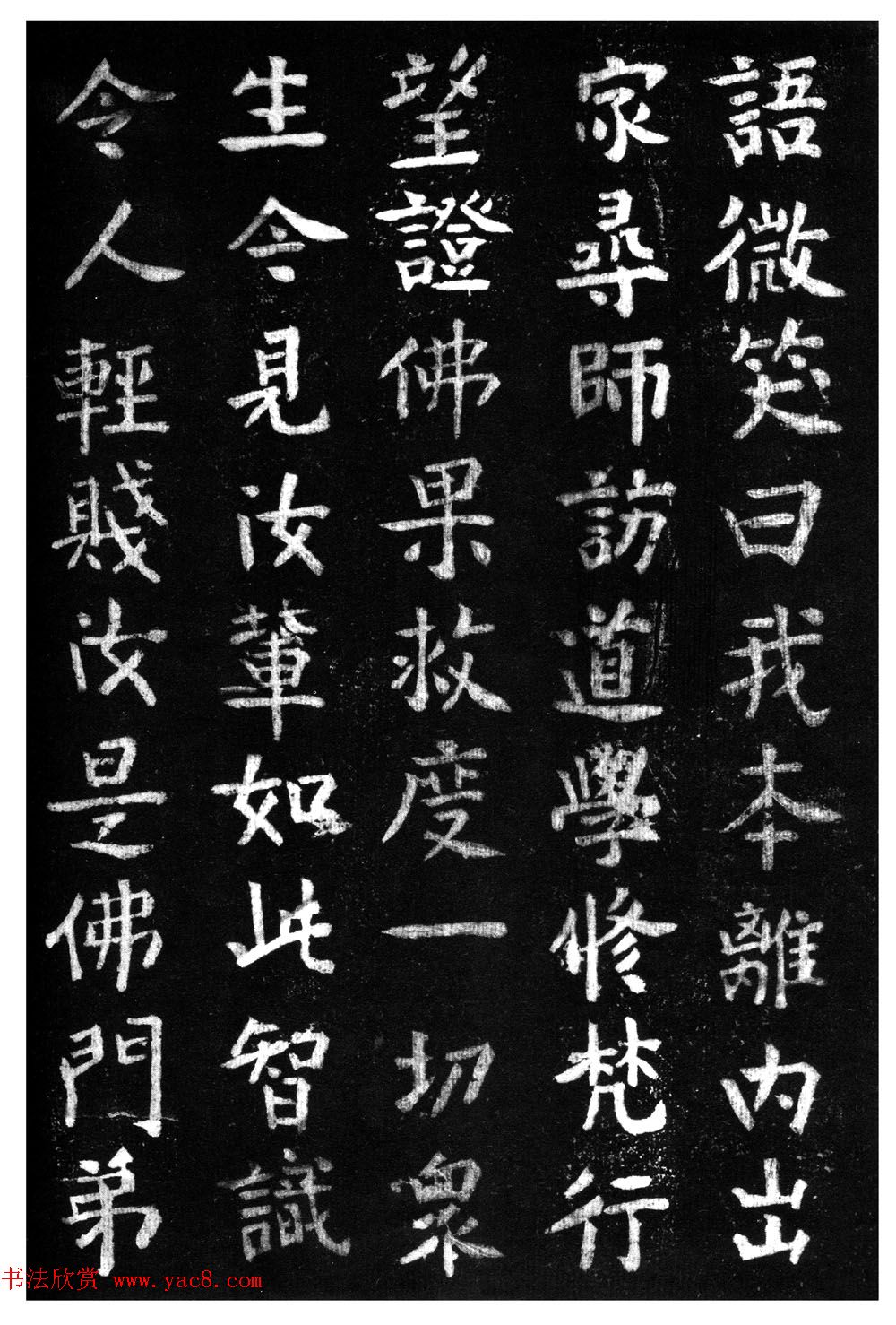 ̾顶ɽر