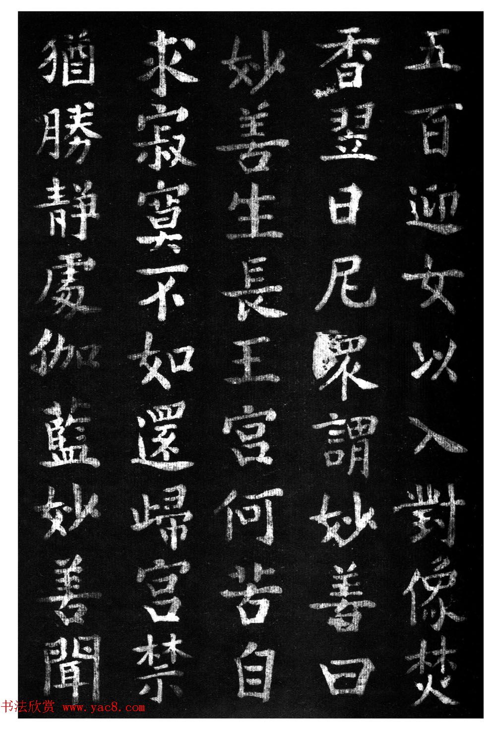 ̾顶ɽر