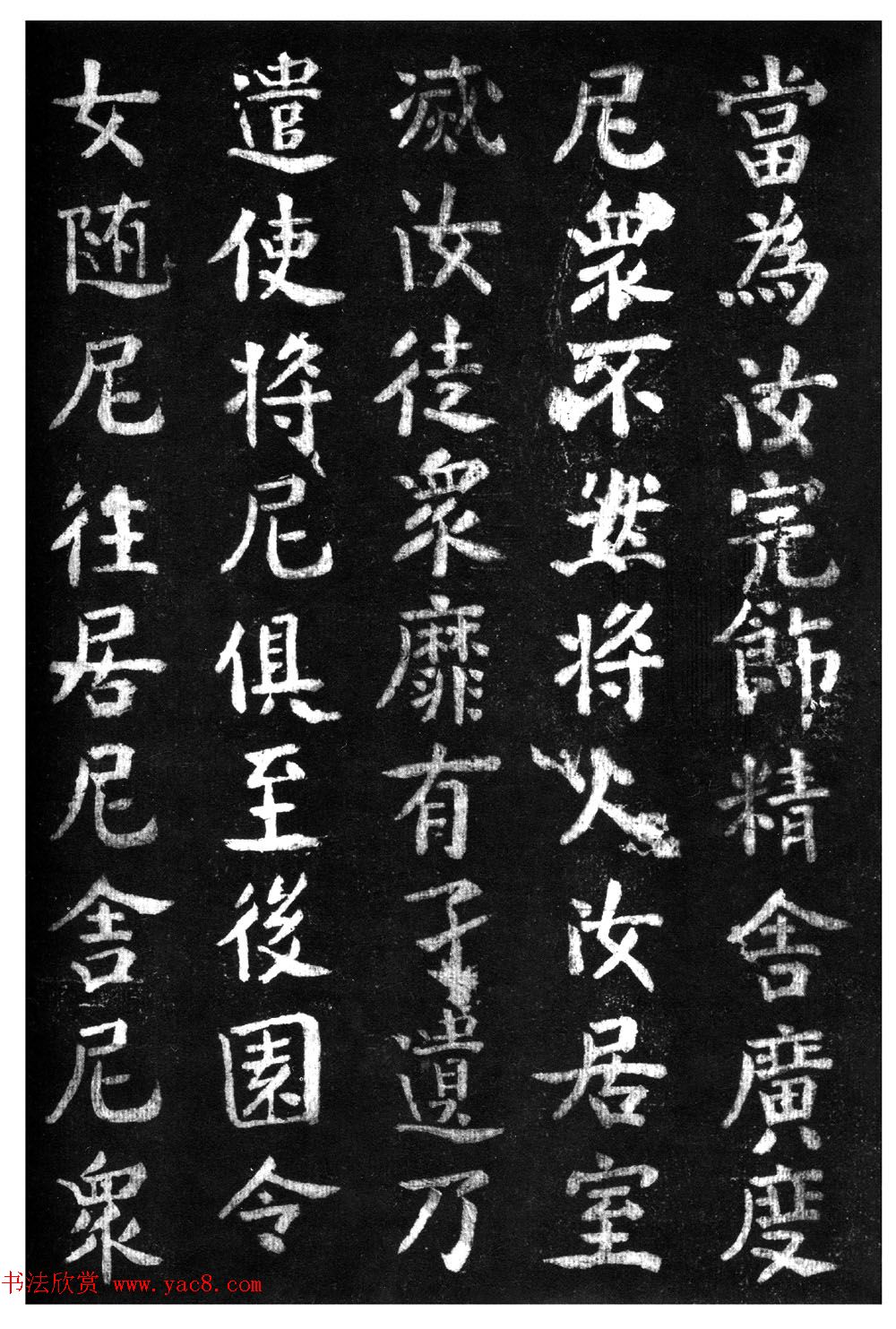 ̾顶ɽر