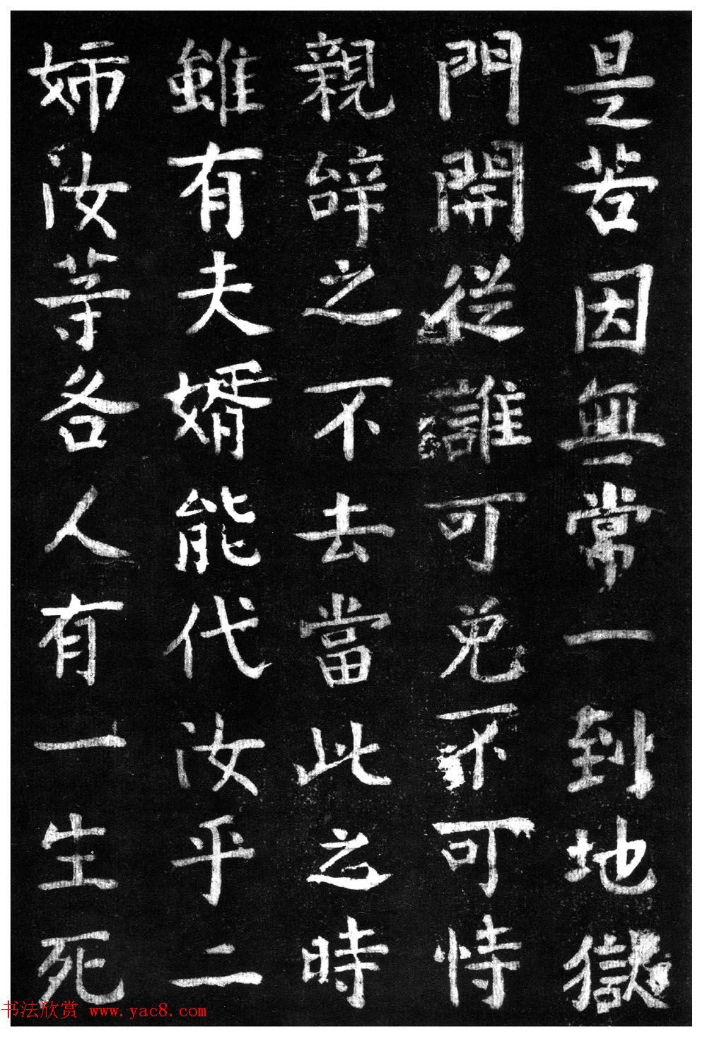 ̾顶ɽر