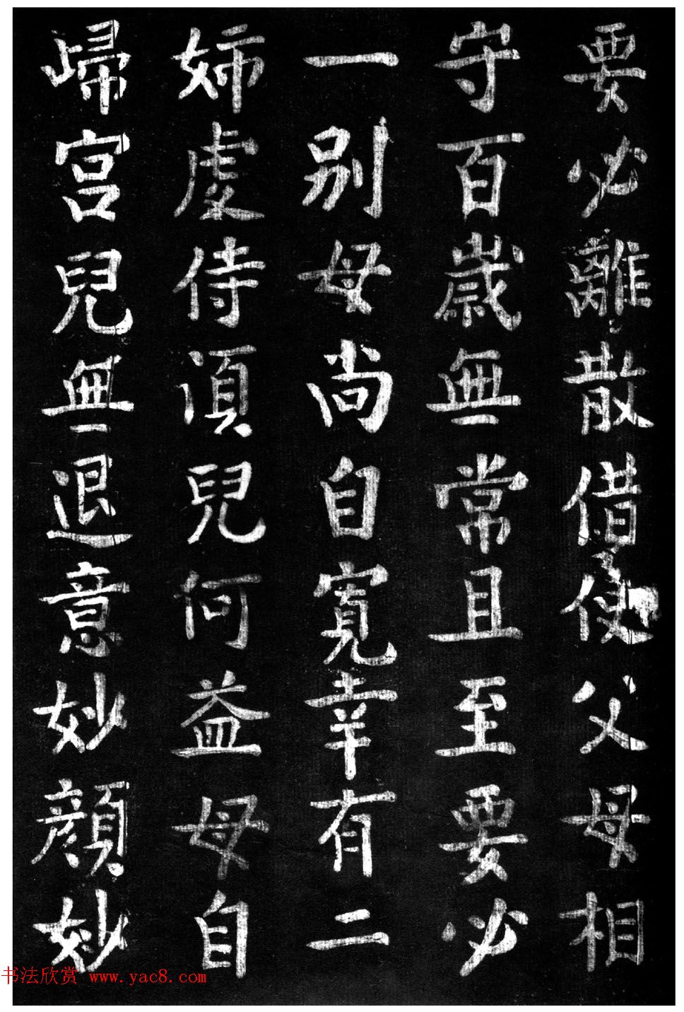 ̾顶ɽر