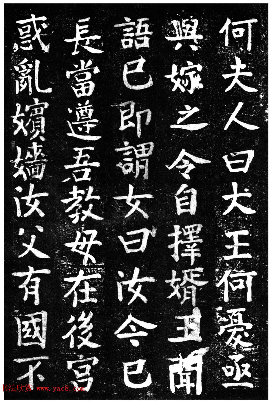 ̾顶ɽر