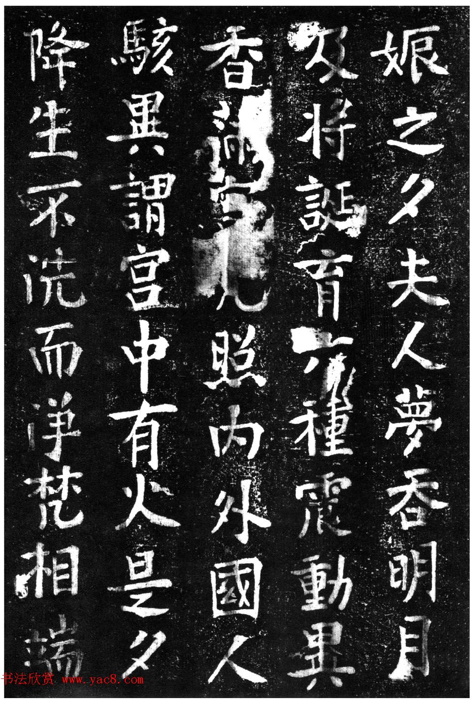 ̾顶ɽر