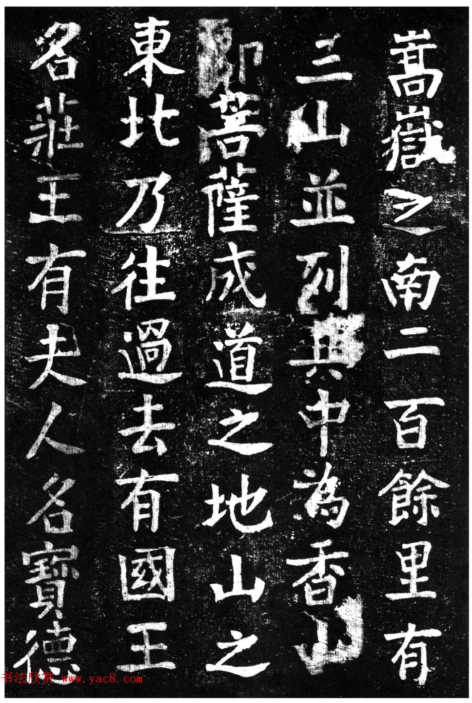̾顶ɽر
