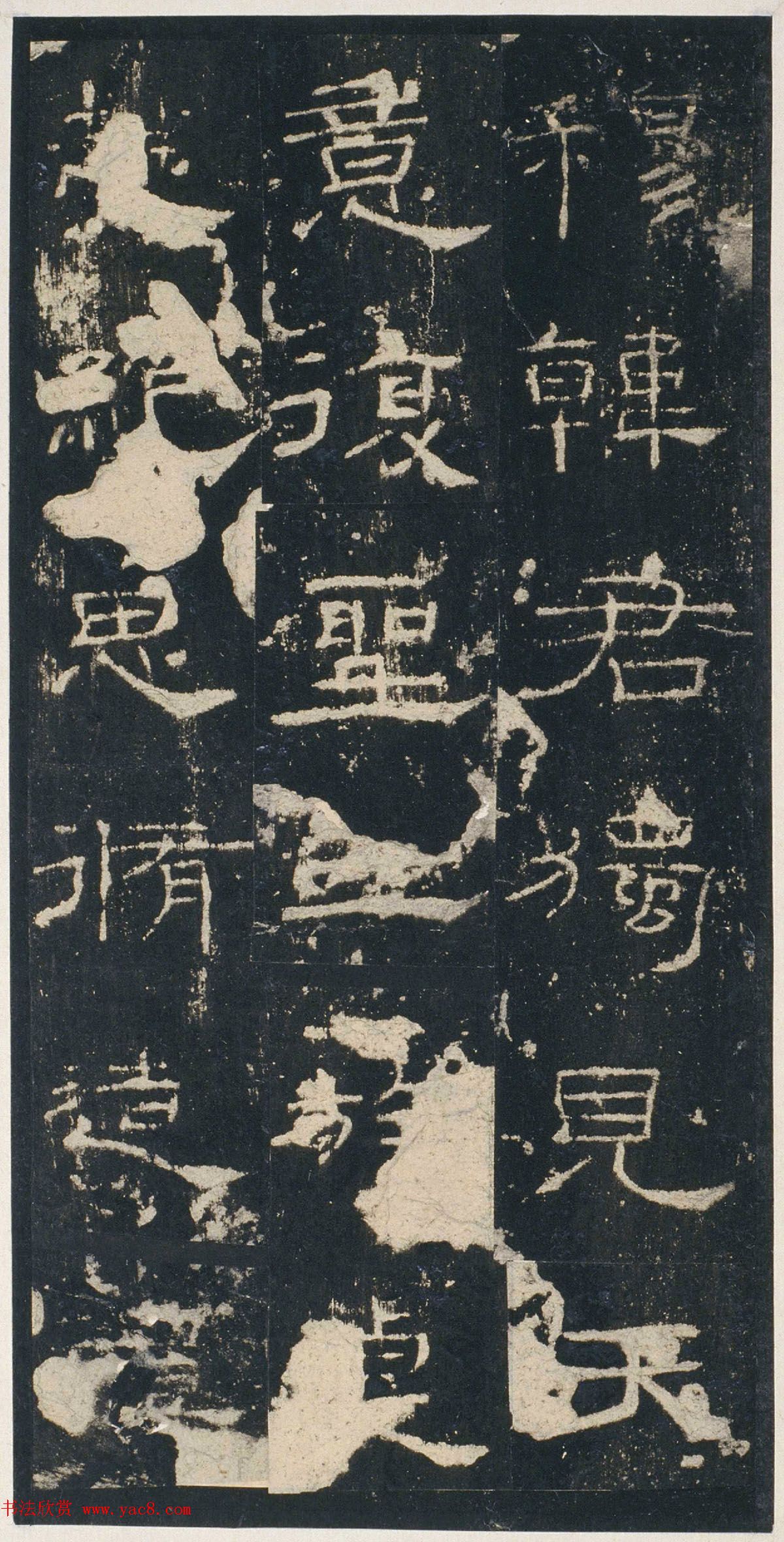 鼫򡶺屾