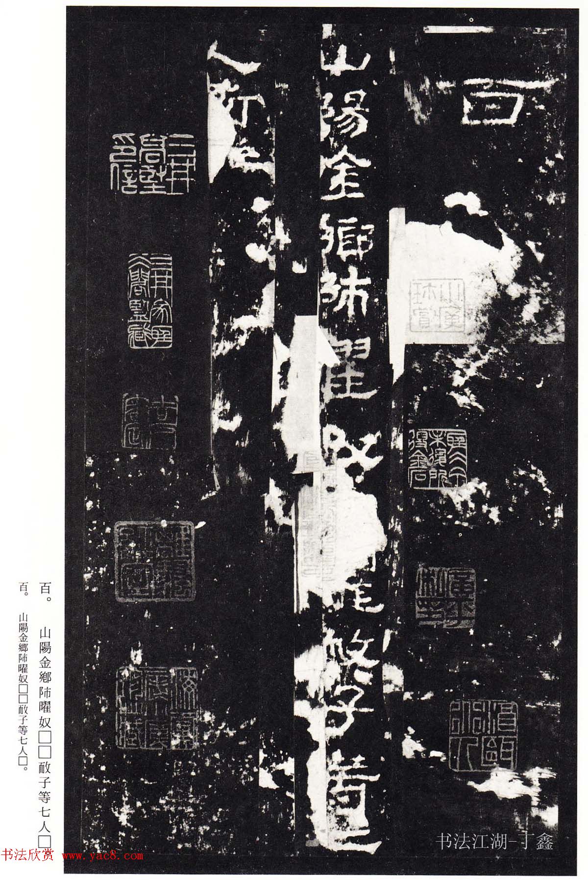鿬ģ籾