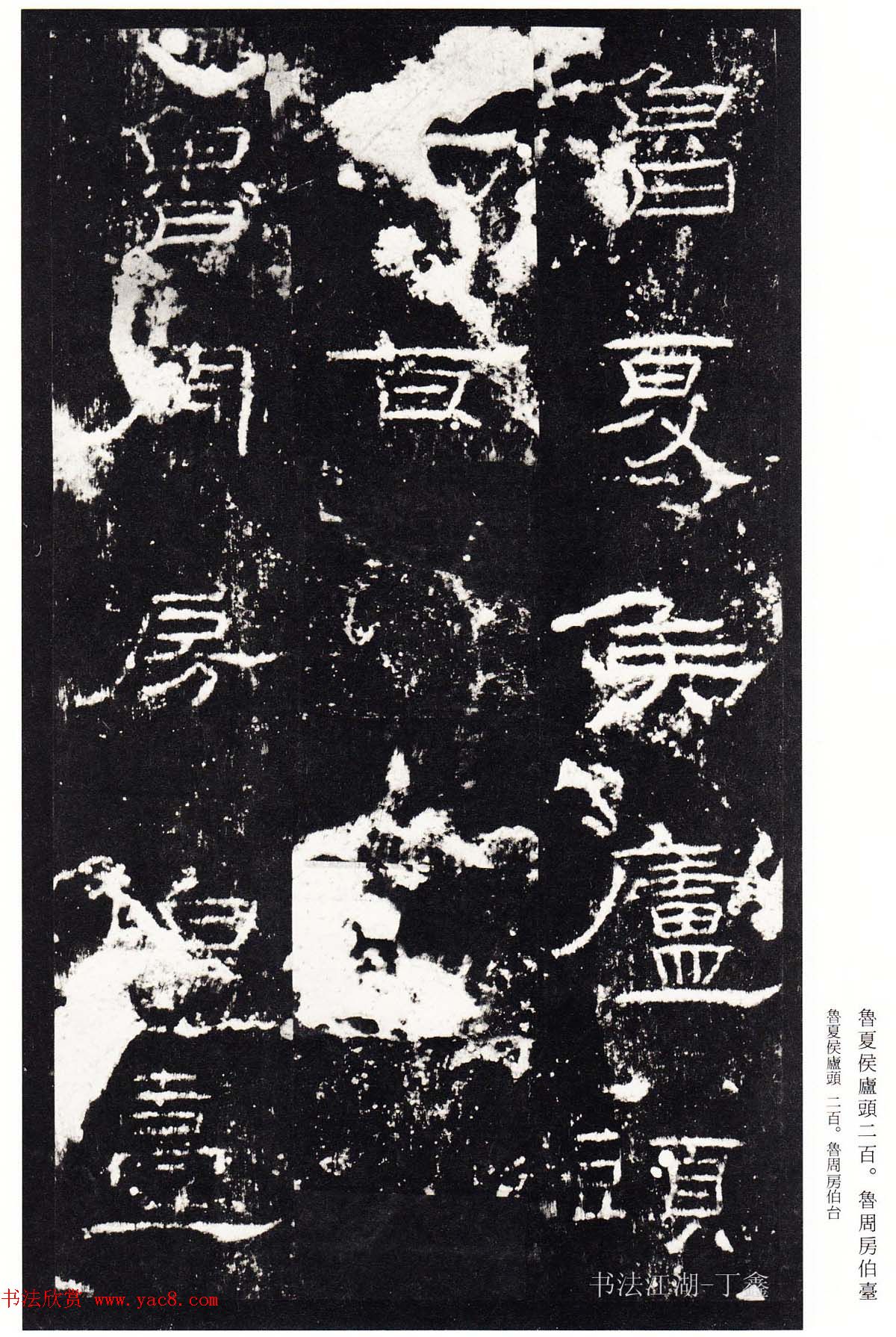 鿬ģ籾