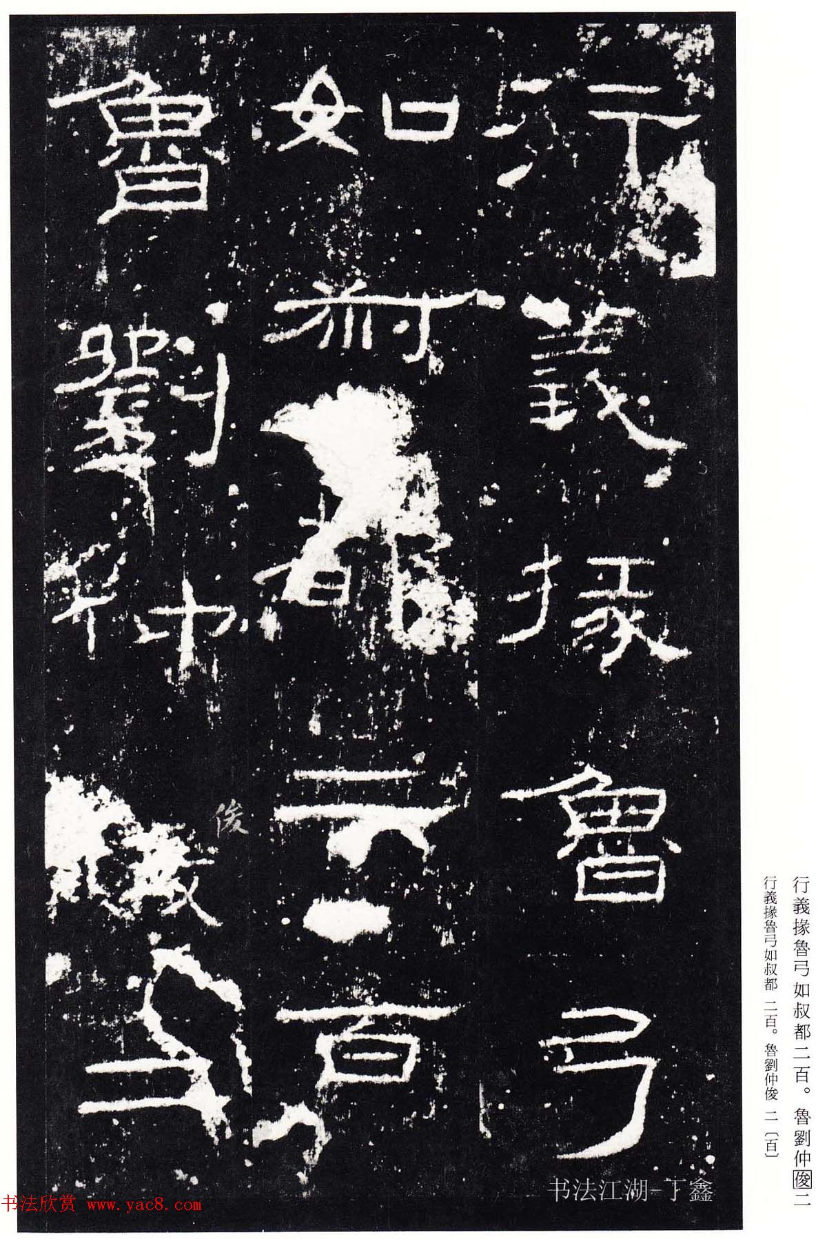 鿬ģ籾