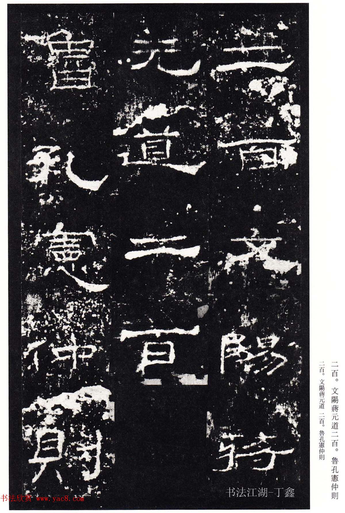 鿬ģ籾