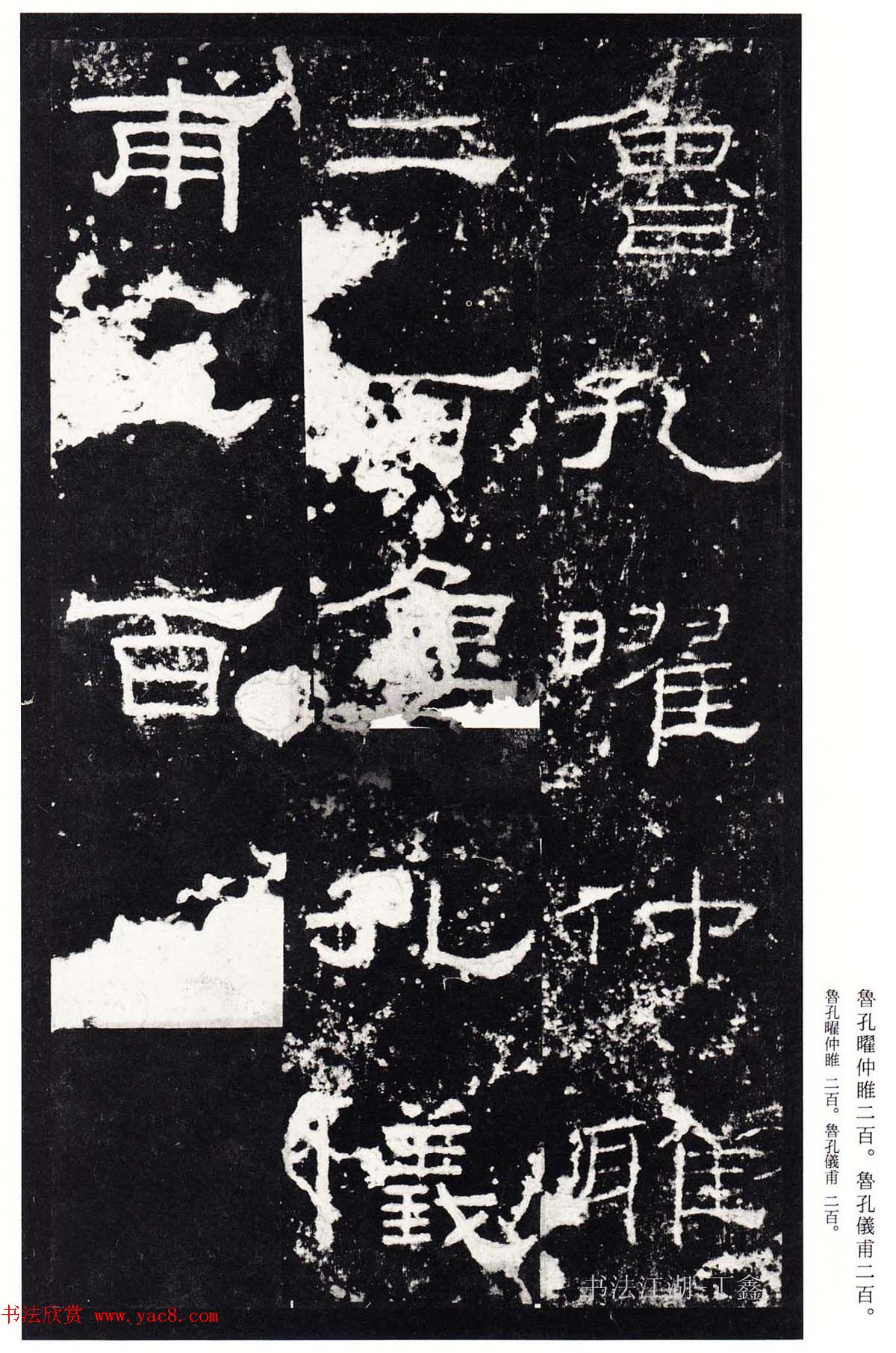 鿬ģ籾