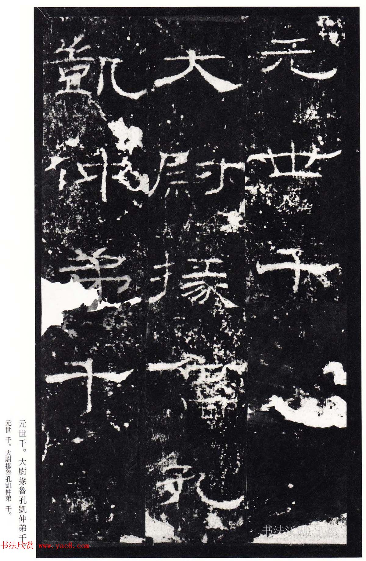 鿬ģ籾