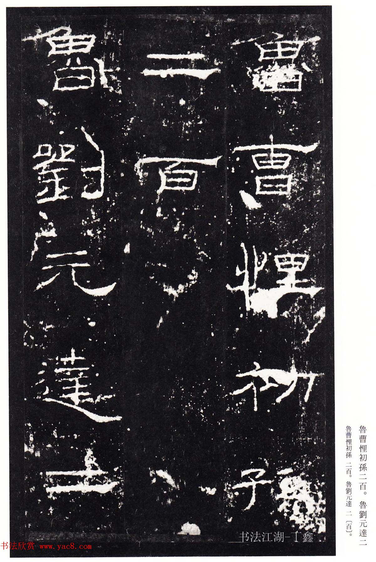 鿬ģ籾
