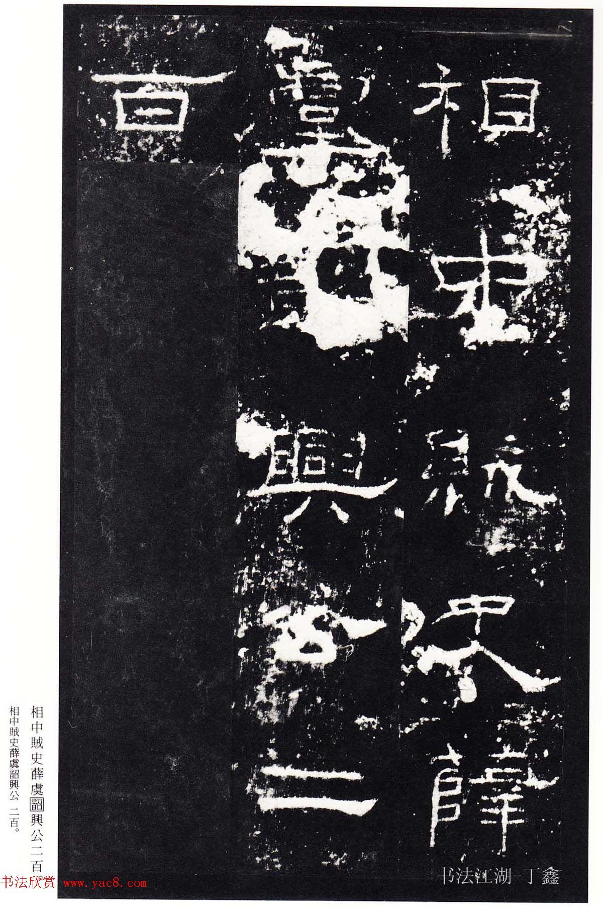 鿬ģ籾
