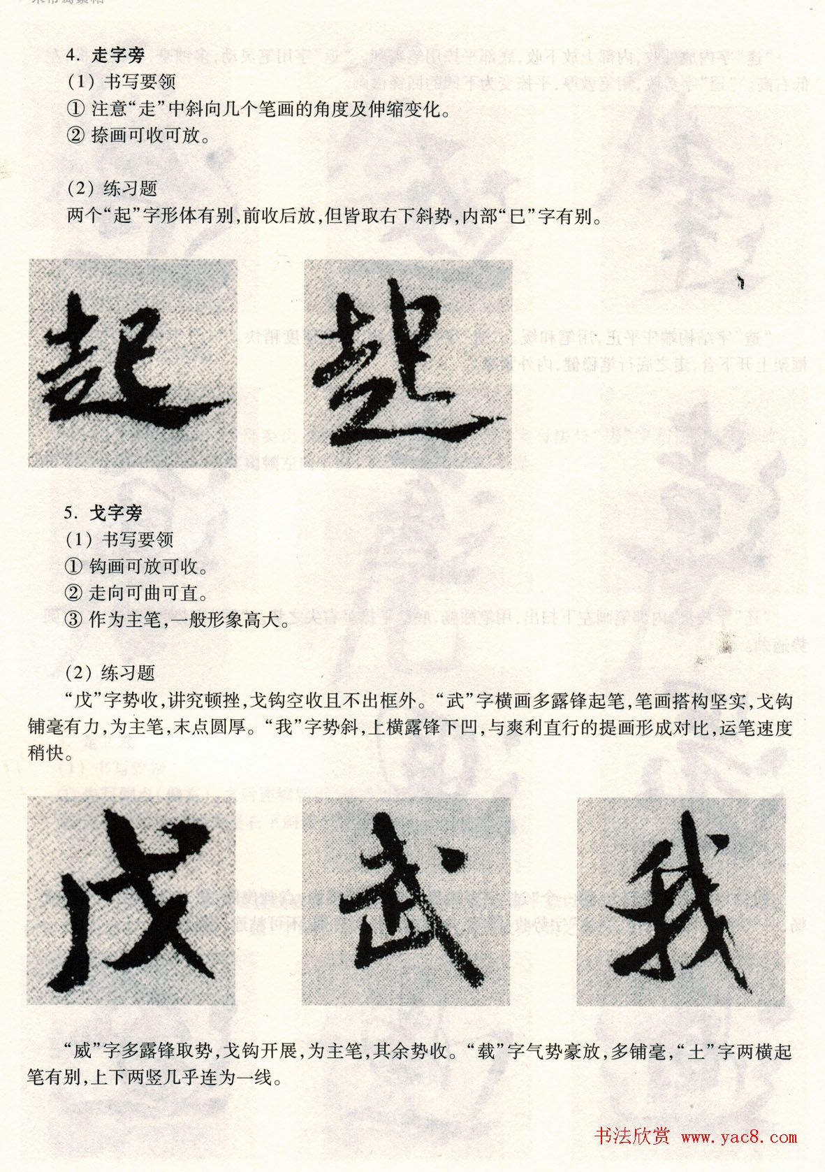 鷨̡̳--ƫԲס