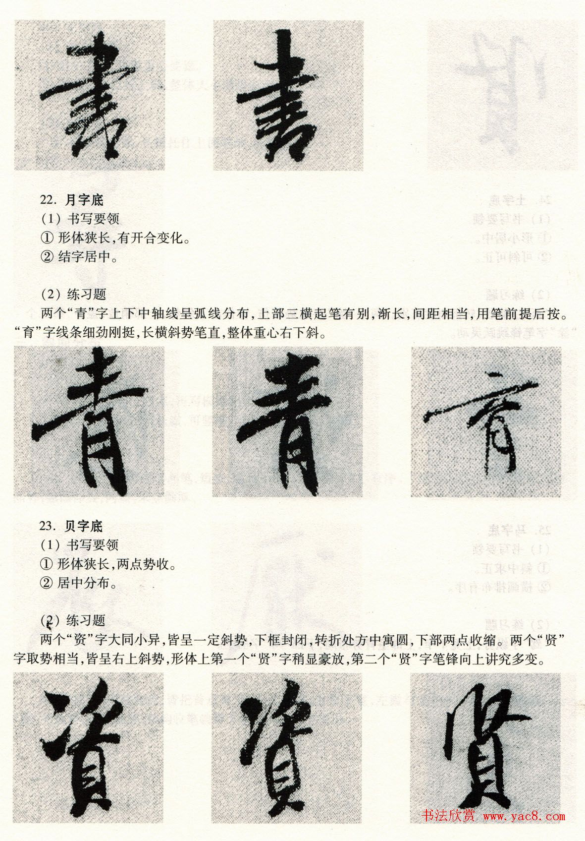 鷨̡̳--ƫԲס