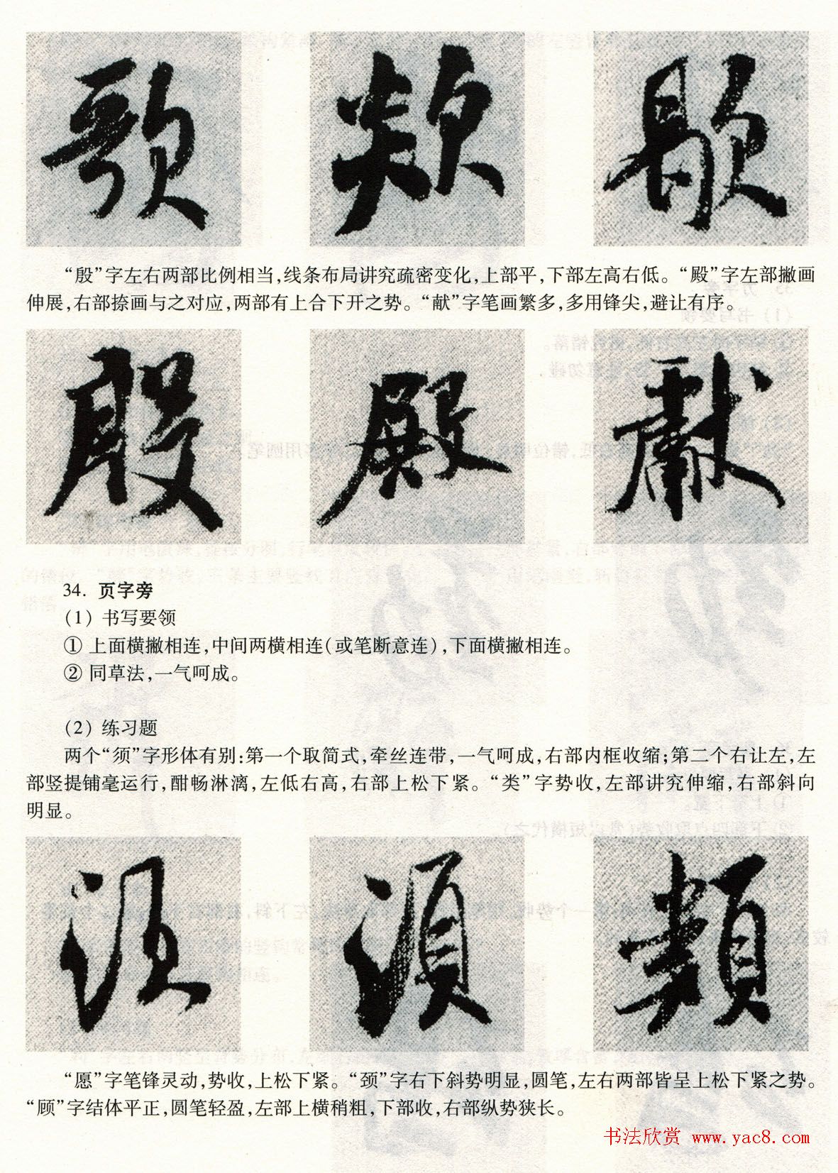 鷨̡̳--ƫԲס