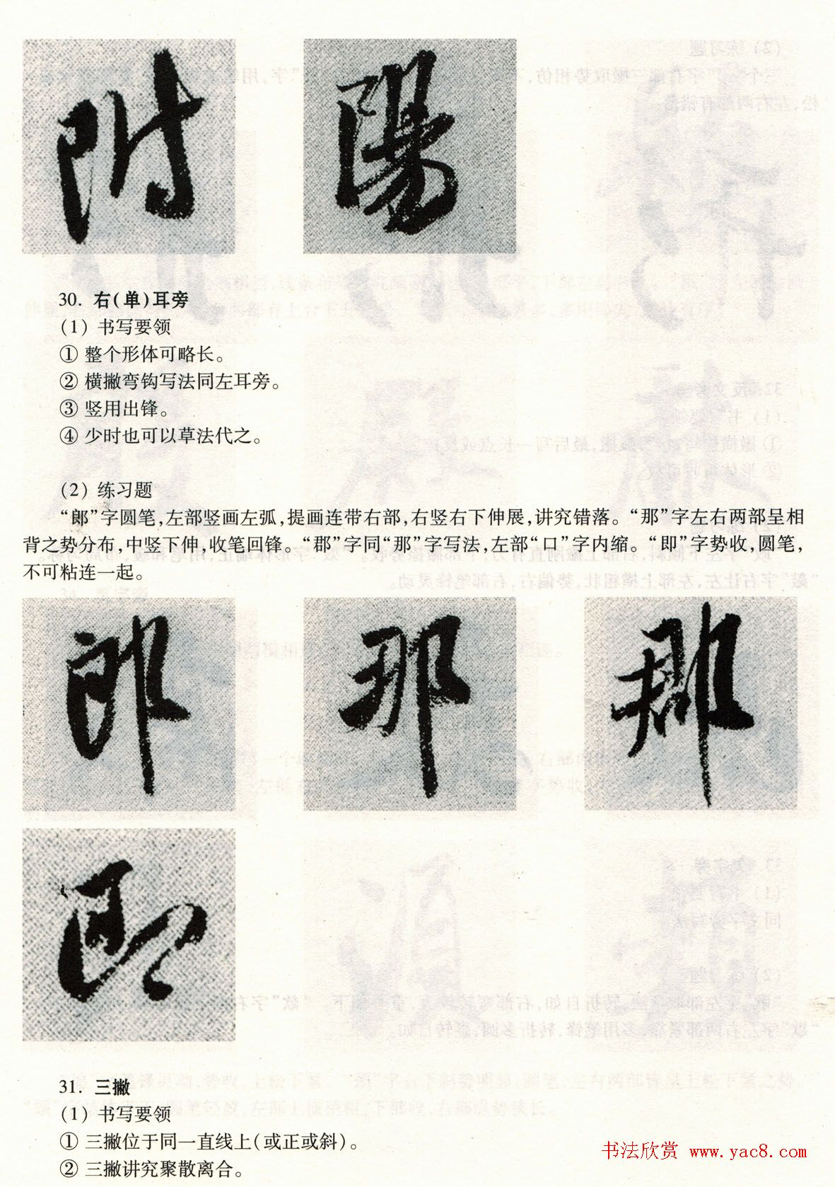 鷨̡̳--ƫԲס