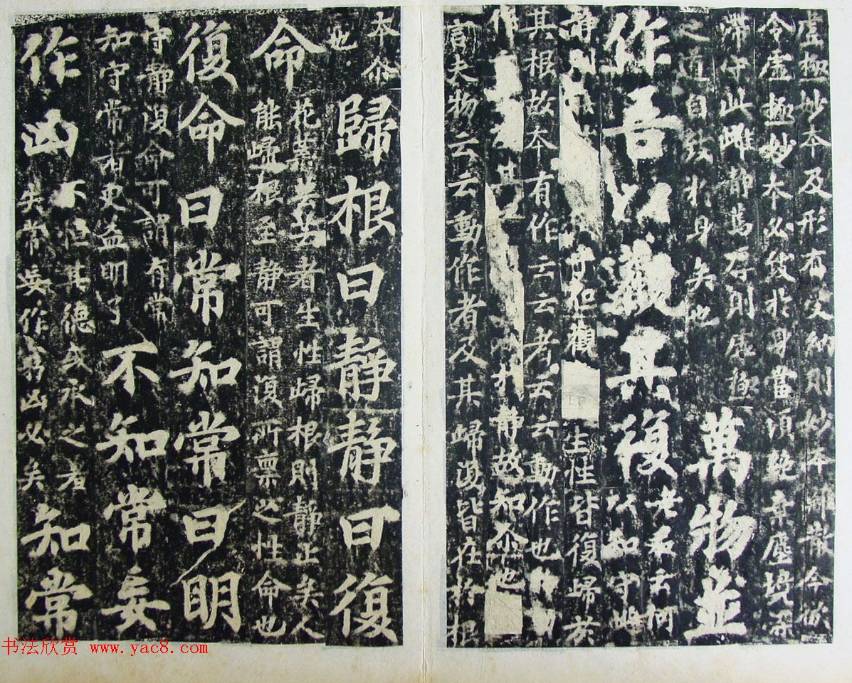 ڻʵ¡ע顶¾ر