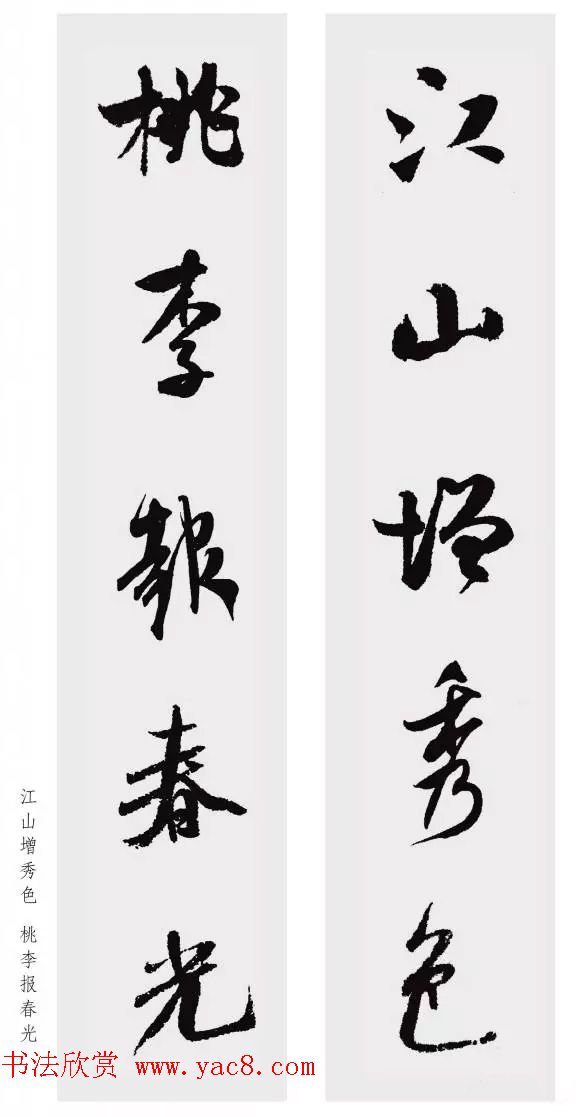 鼯Զ