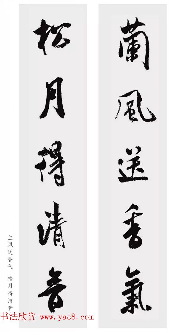 鼯Զ