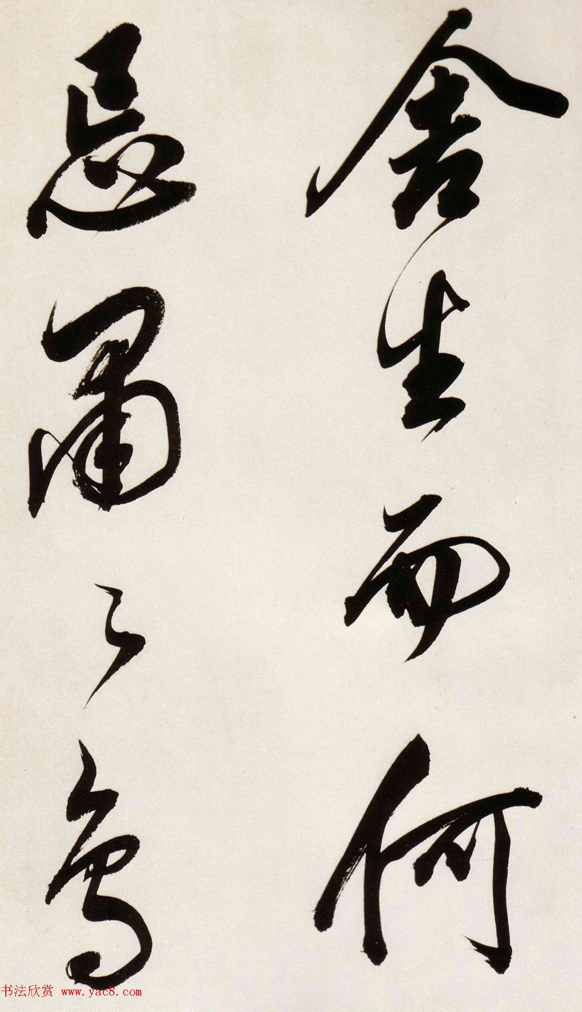 �����68�����顶�����ȸ�����