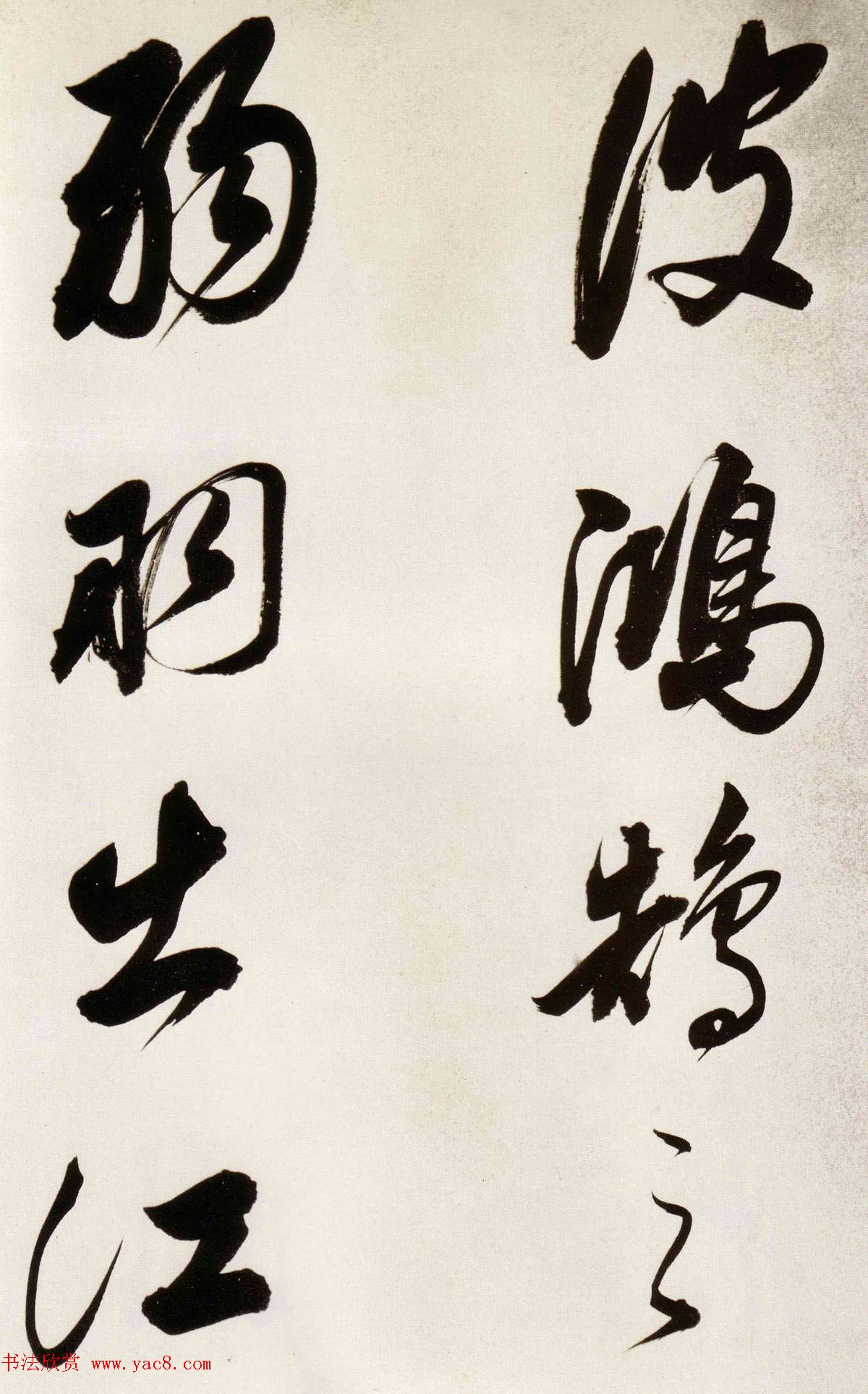 68顶ȸ