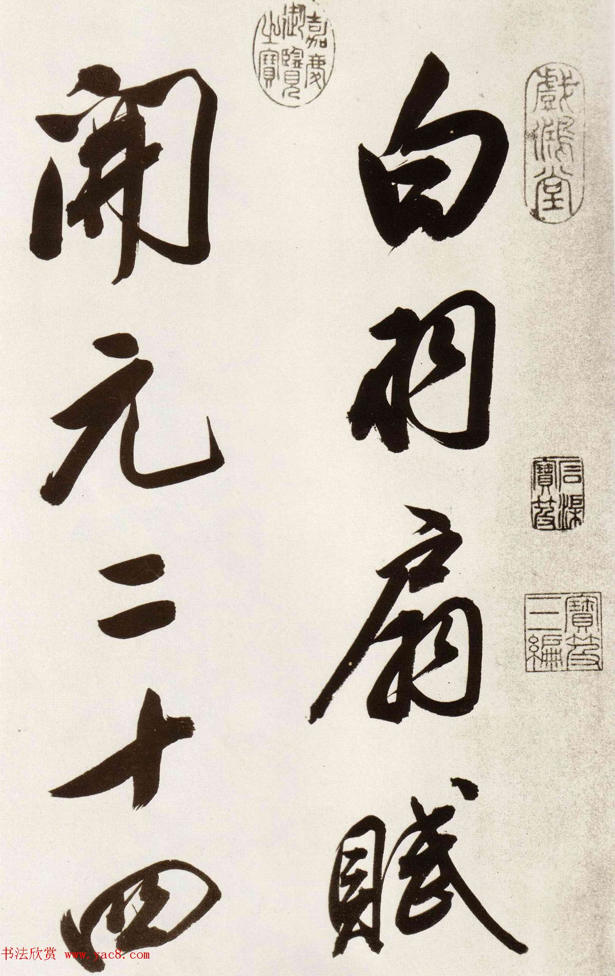 68顶ȸ