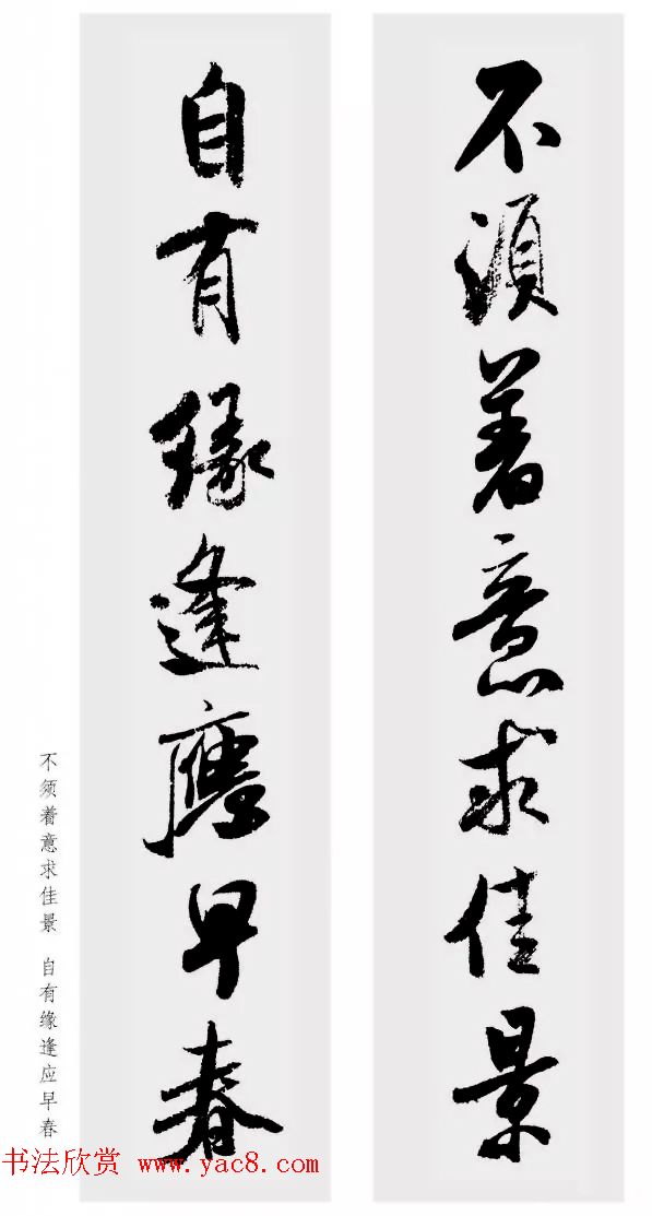 鼯Զ48