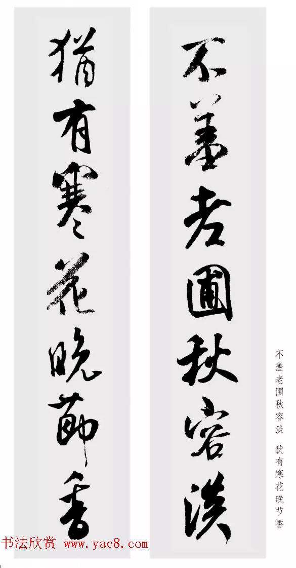 鼯Զ48