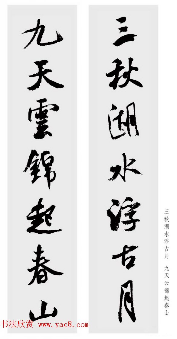 鼯Զ48