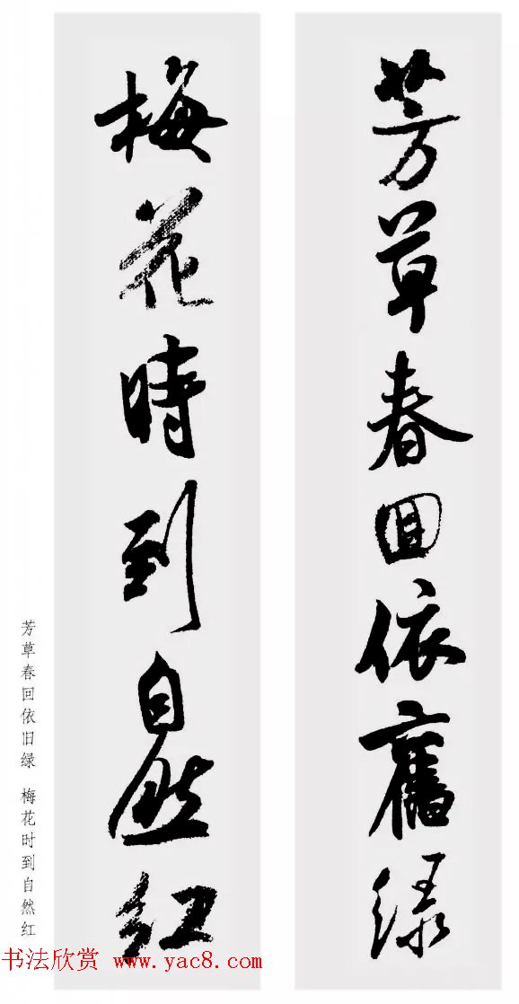 鼯Զ48