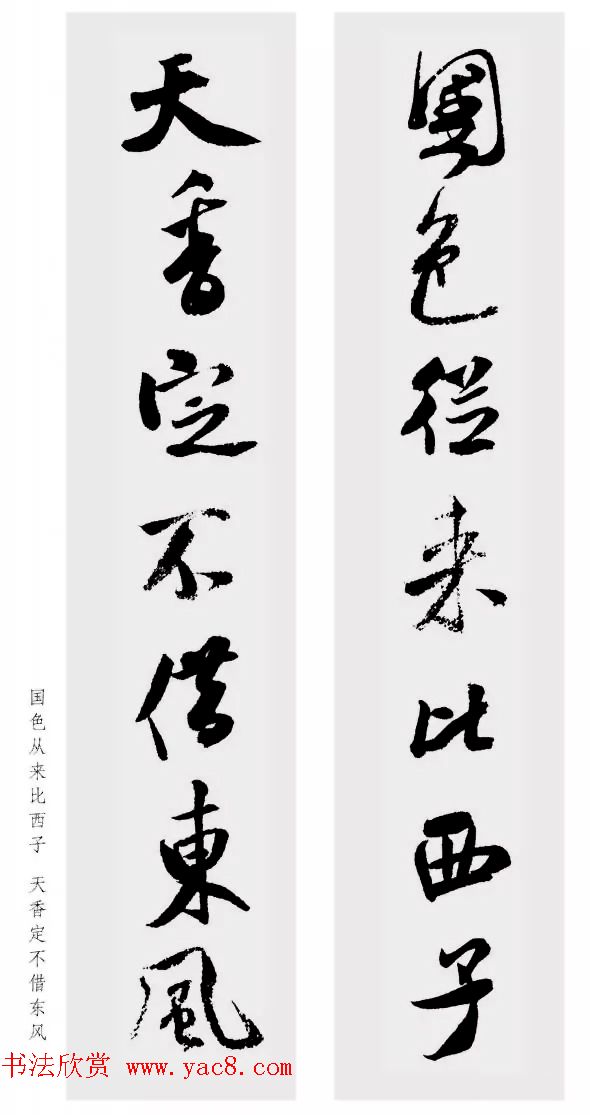 鼯Զ48