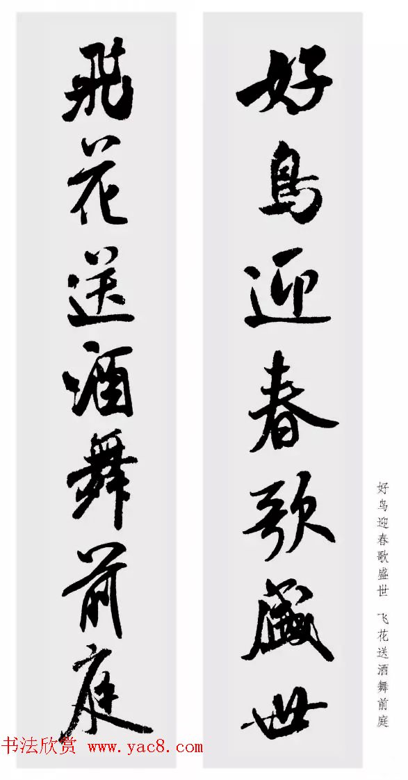 鼯Զ48