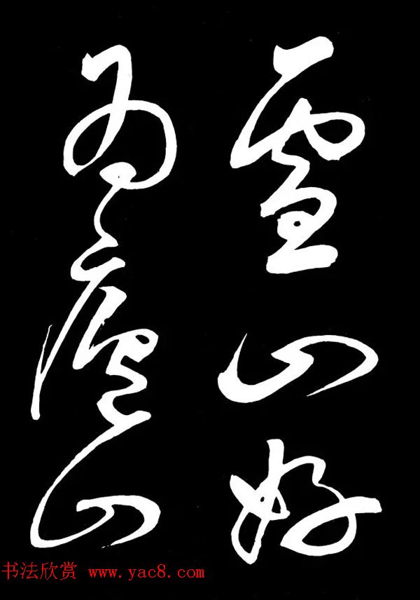 鷨ҷ᷻͡®ɽҥ