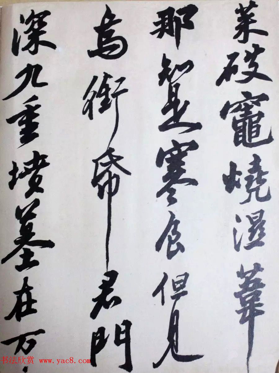 鷨ɳϺ