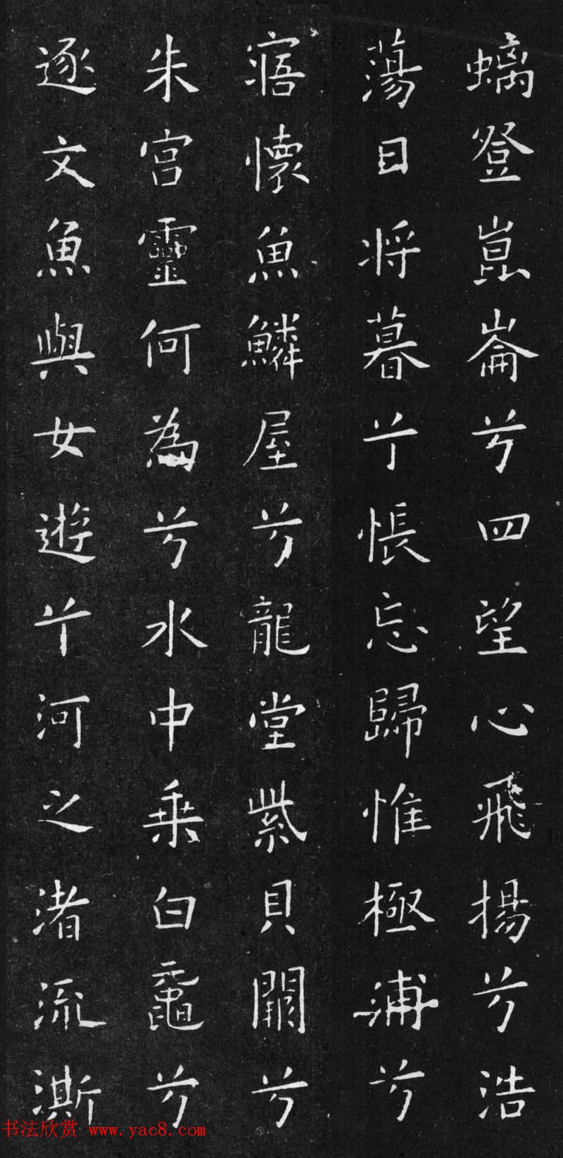 ŷѯ顶Ÿ衷2