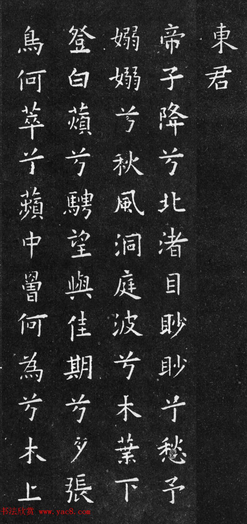 ŷѯ顶Ÿ衷2