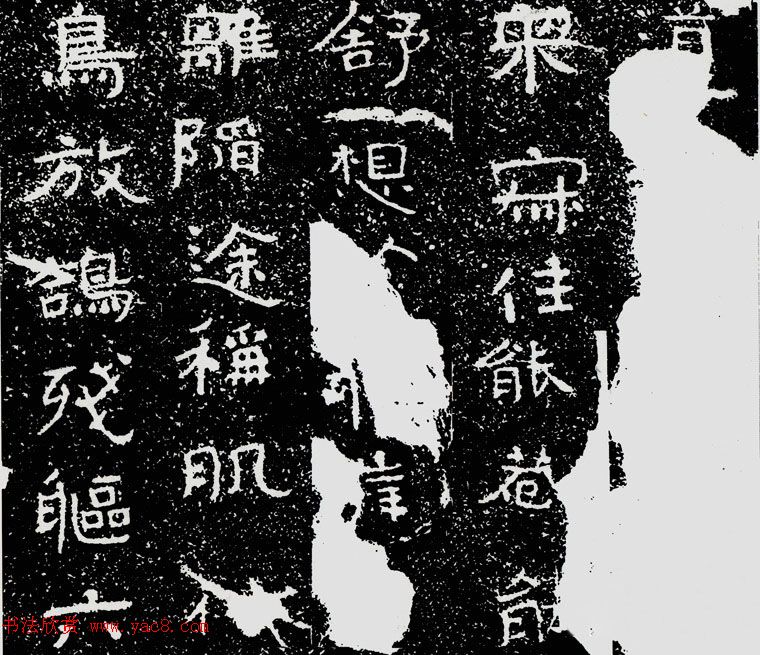 밲һ鷨ͣɽĦʯ̡ʯ̡