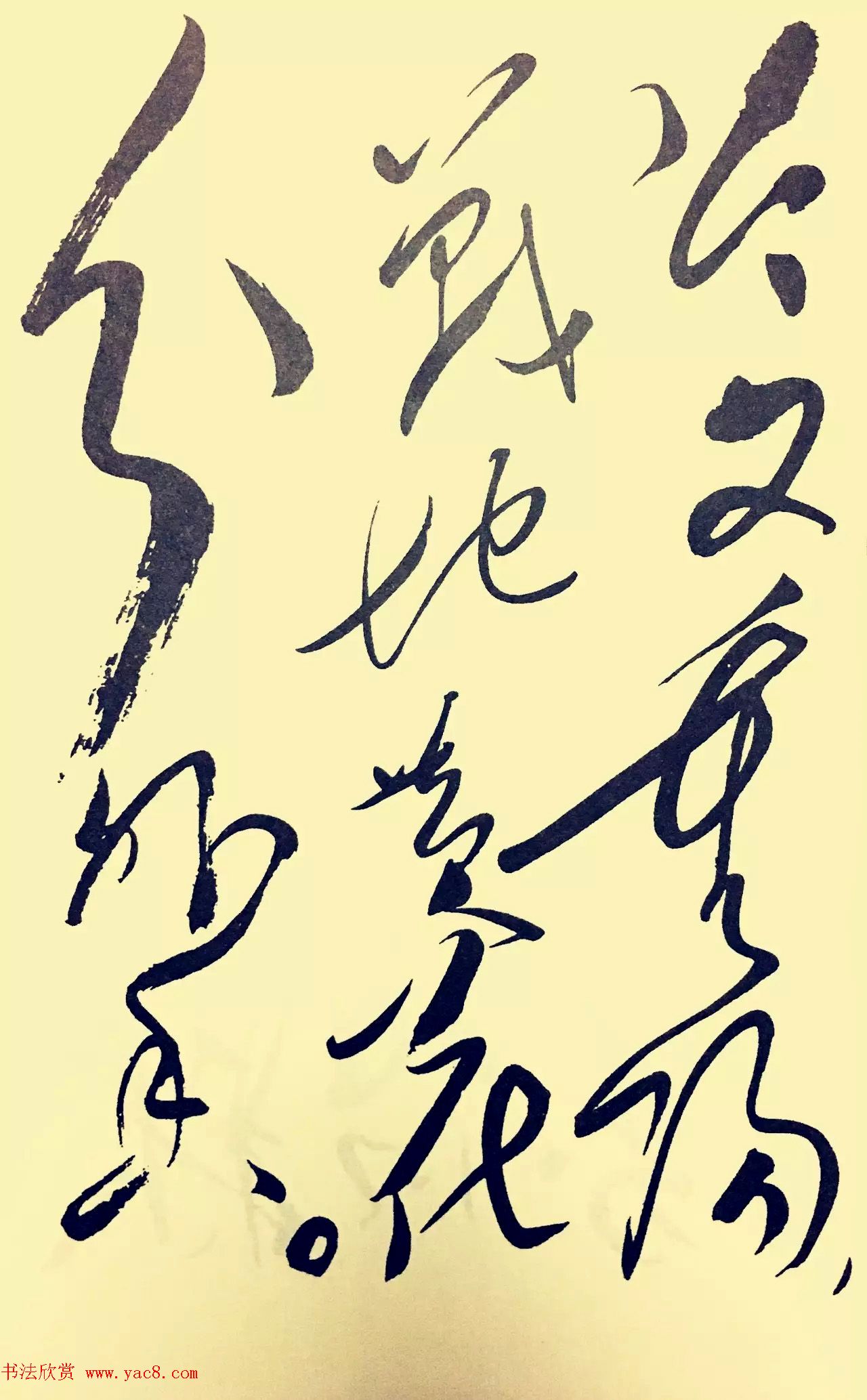 毛泽东草书欣赏《采桑子·重阳》