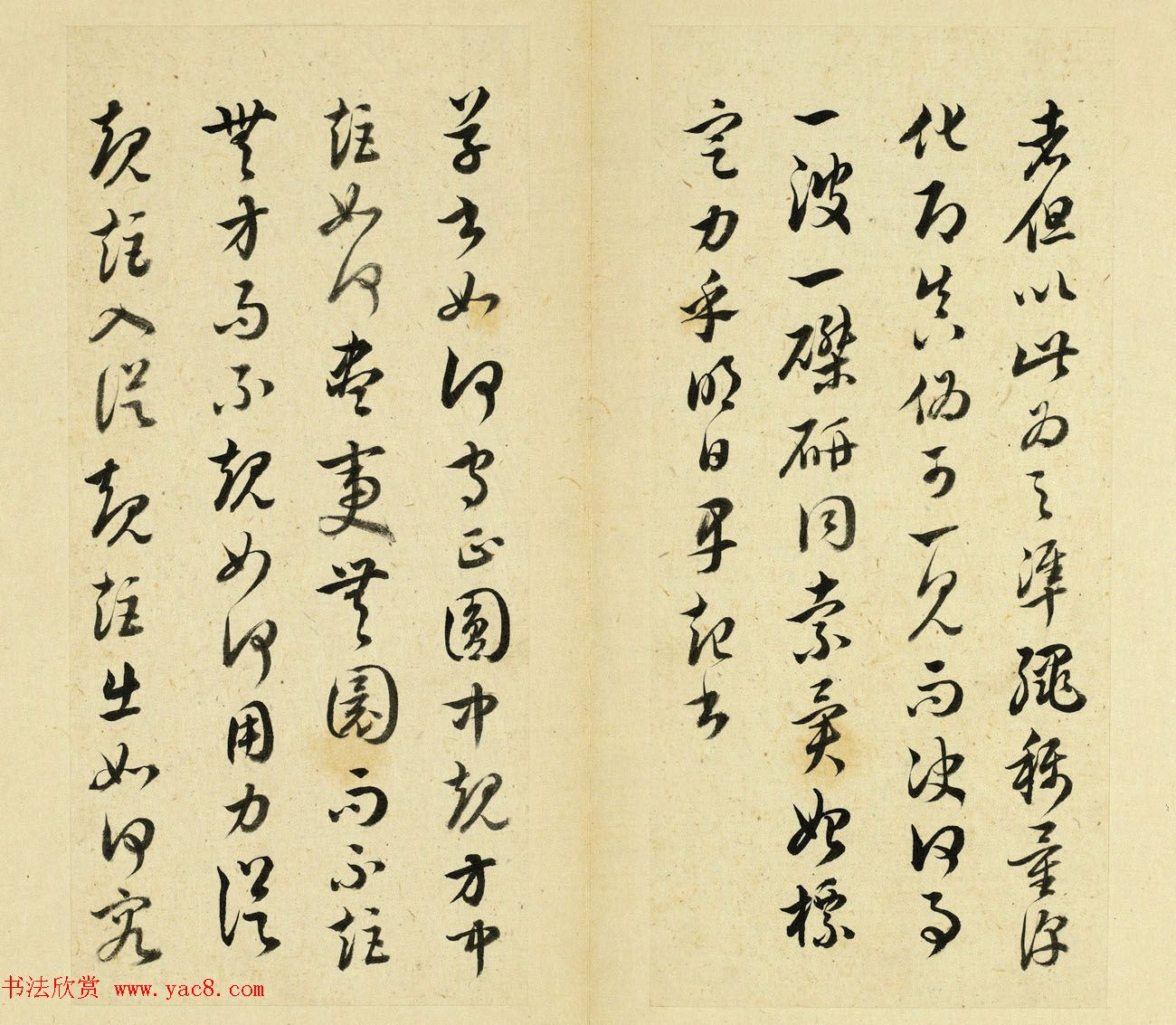 鷨ҳ͡ʮ